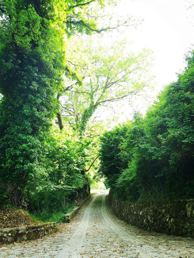 Le Vie Mediterranee Torre di Ruggiero ภายนอก รูปภาพ