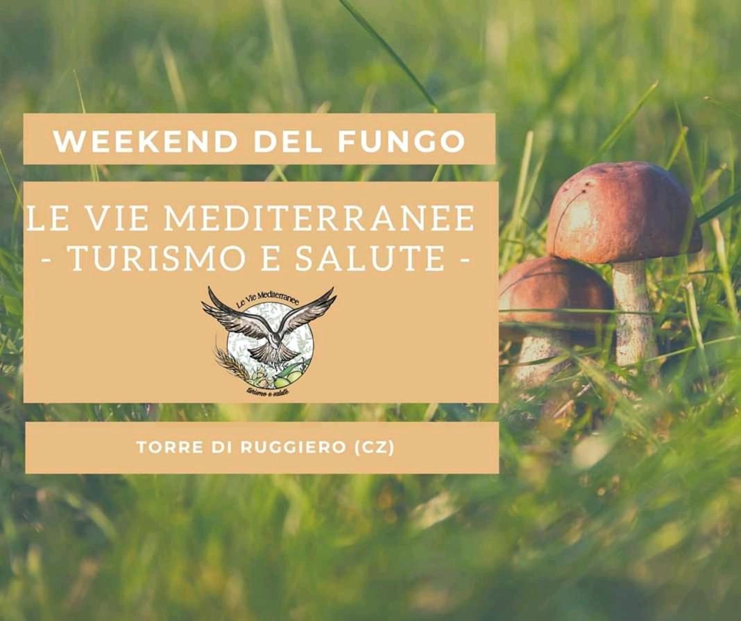 Le Vie Mediterranee Torre di Ruggiero ภายนอก รูปภาพ